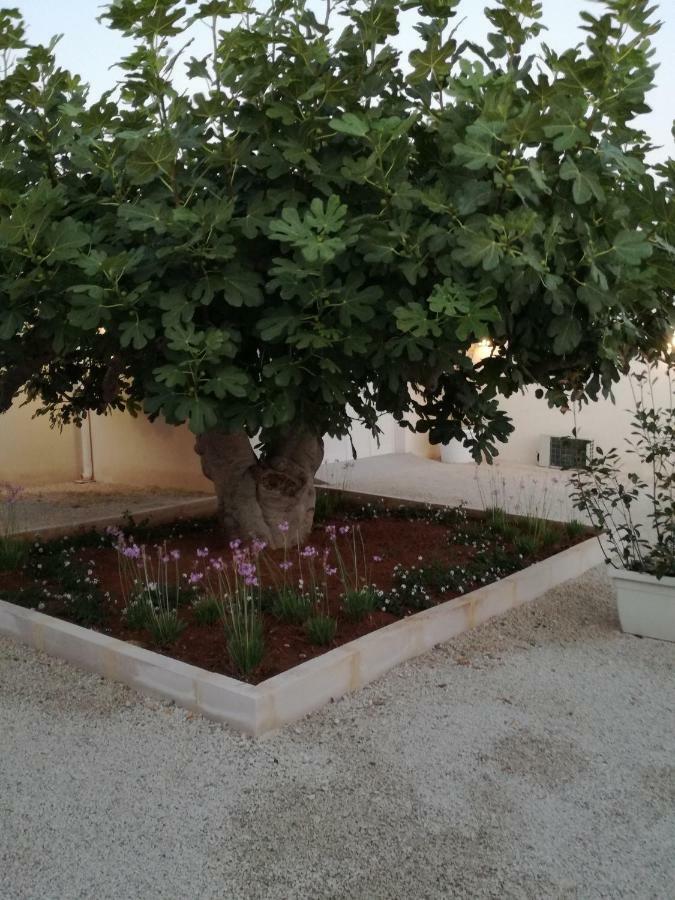 Tenuta Il Fico Hotel Porto Cesareo Zewnętrze zdjęcie